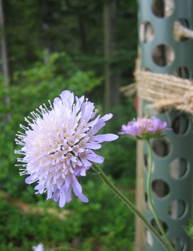2010 07 04 A